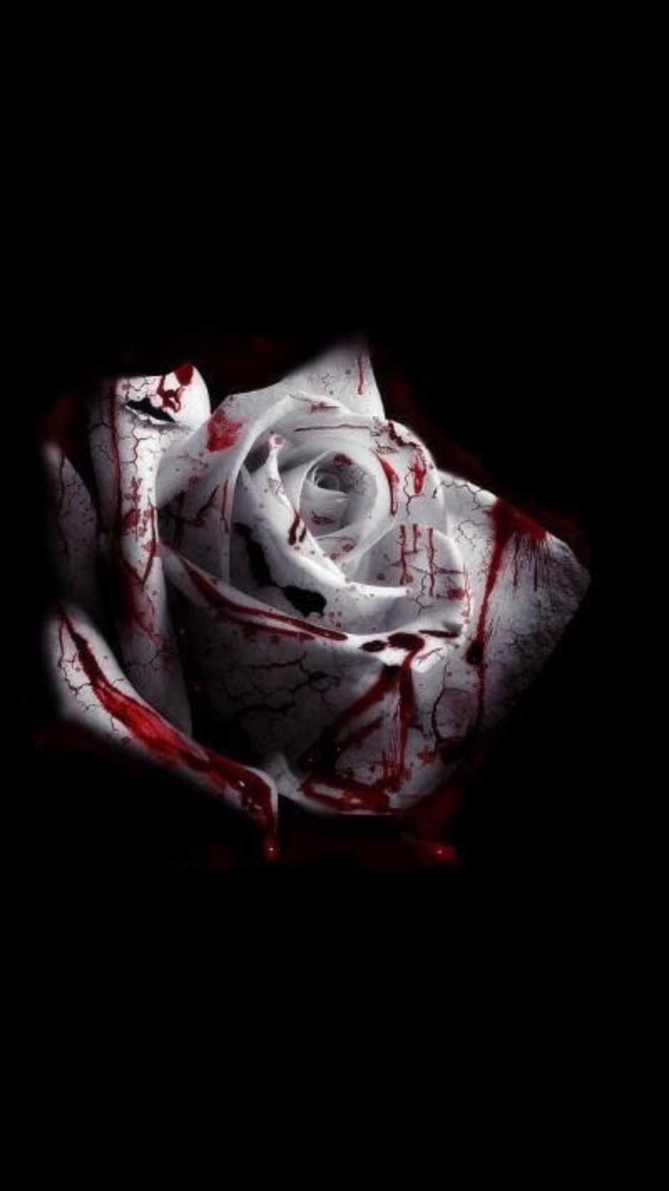 Окровавленная белая роза