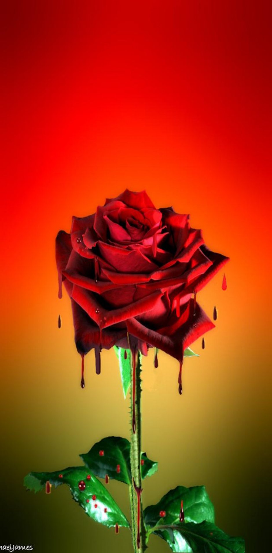 Кроваво красные розы
