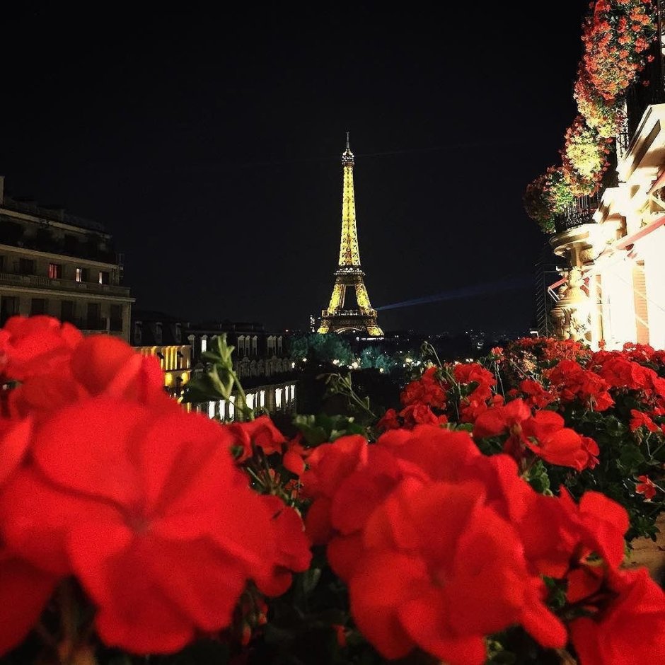 Париж в цветах