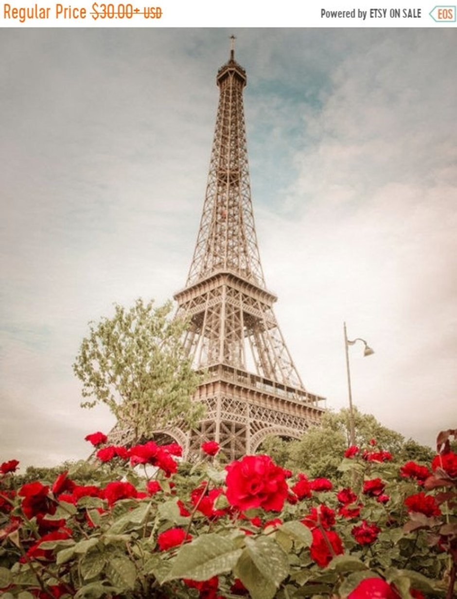 Париж розы