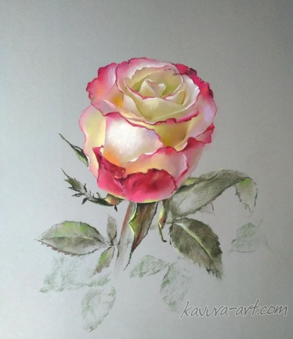 Вера Кавура пастель розы