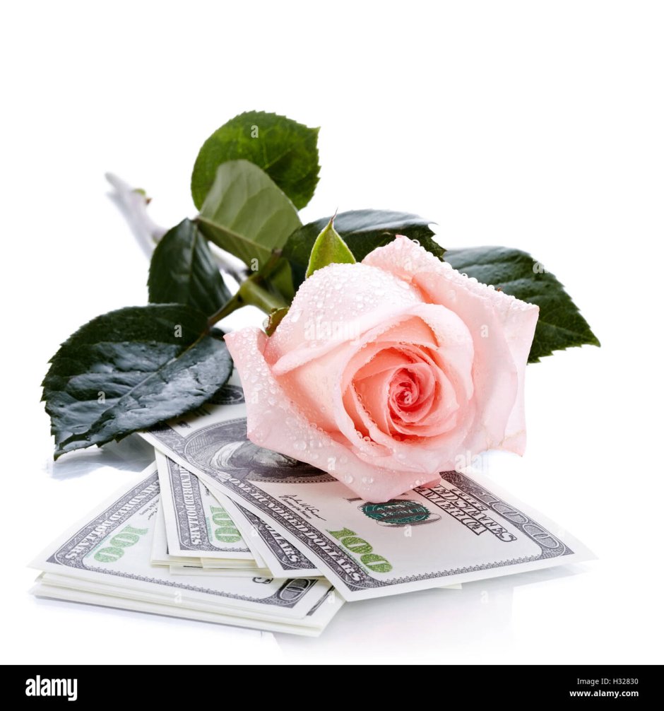 Роза и деньга