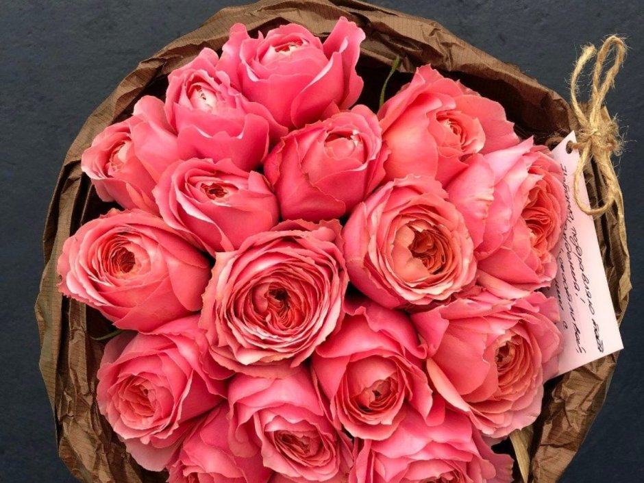 Роза кустовая Romantic Antike