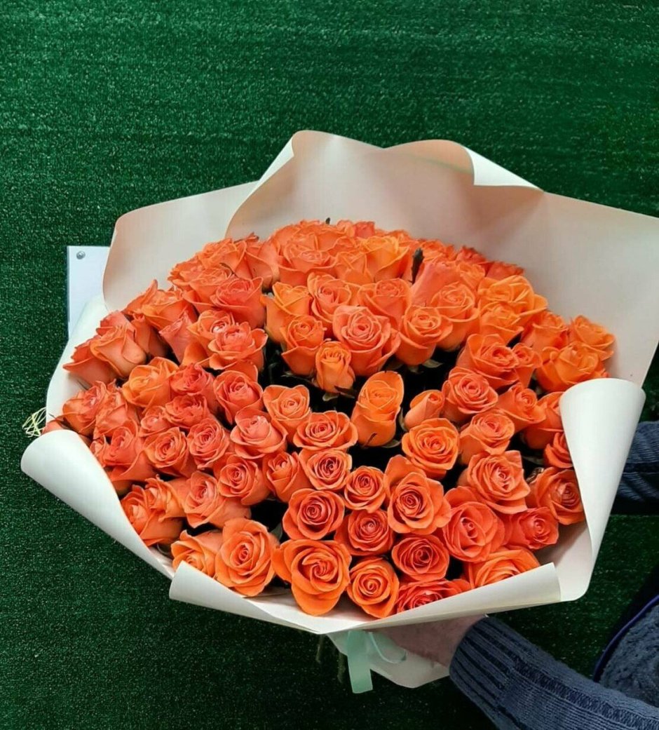 Розы кораллового цвета