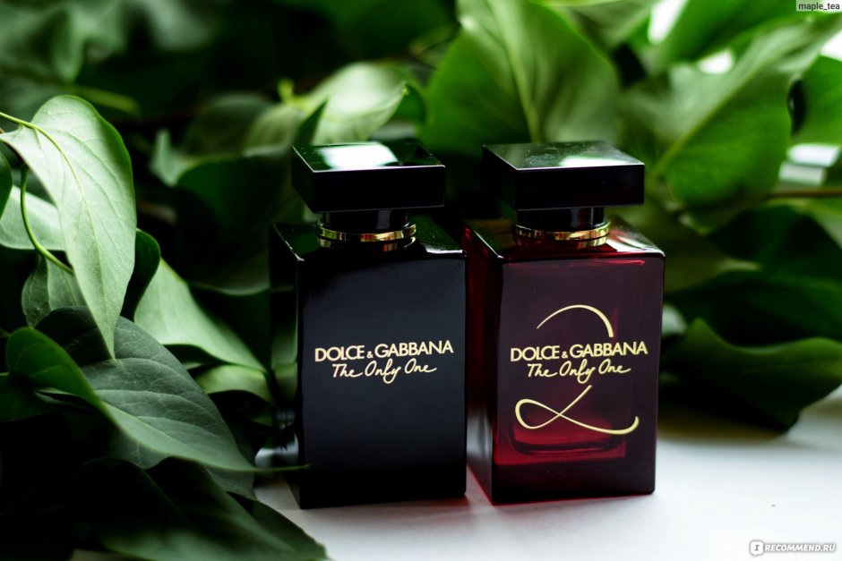 Dolce Gabbana (Dolce Gabbana) 100мл
