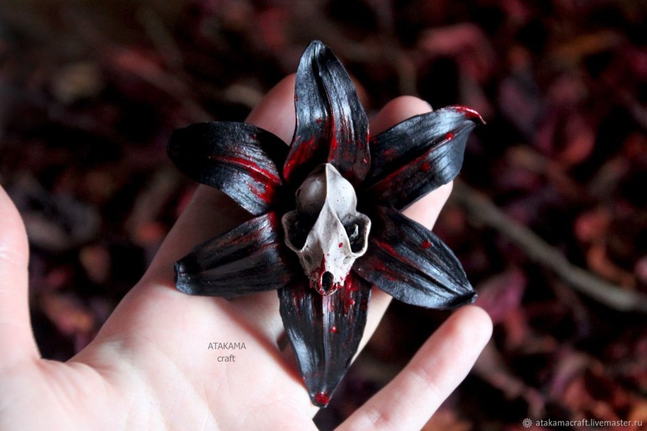 Растение Кровавая Лилия