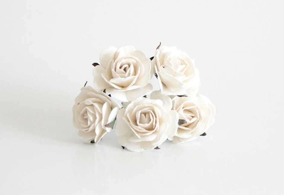 Белая бумажная роза
