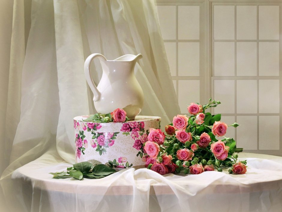 Домашняя чайная роза