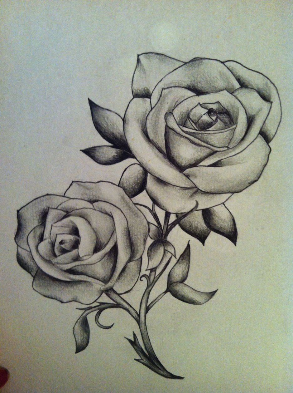 Рисунок эскиз тату цветы розы
