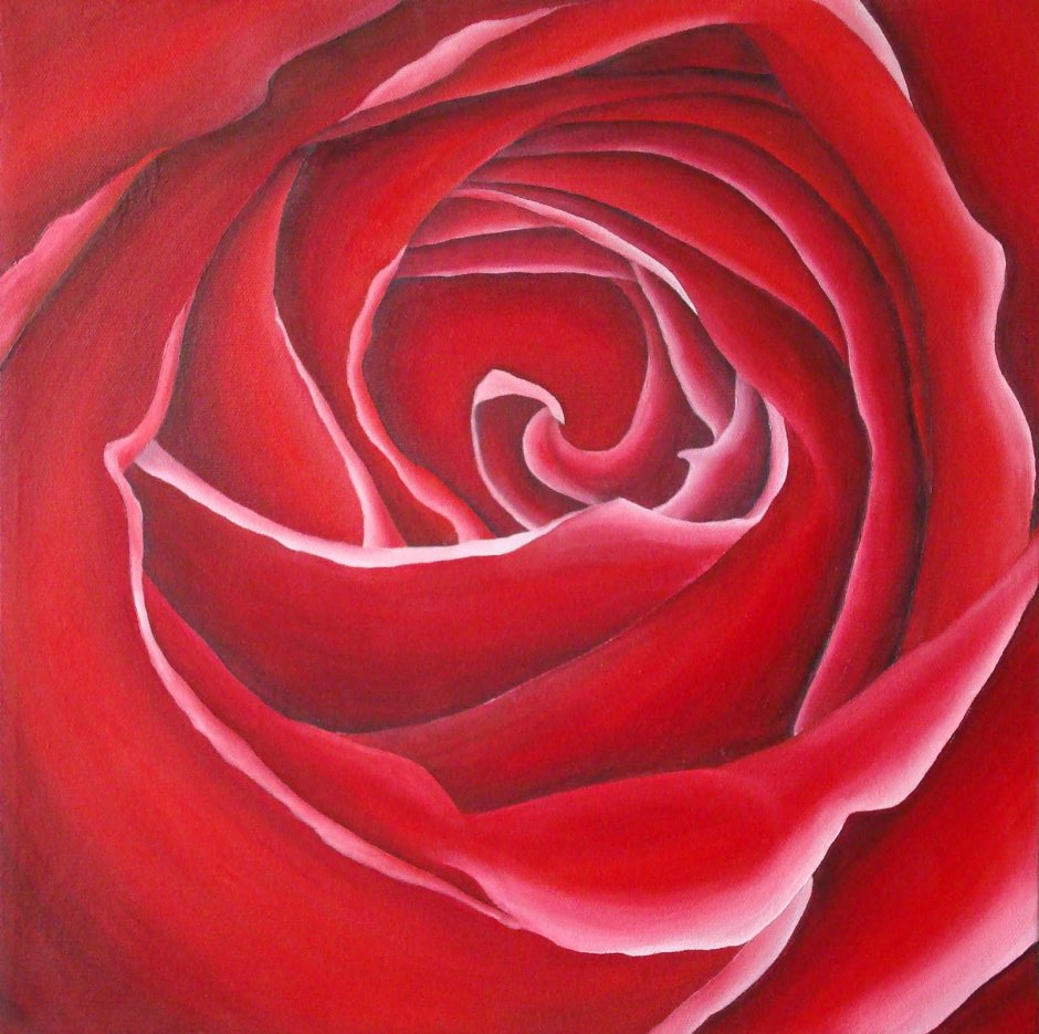 Красная роза арт