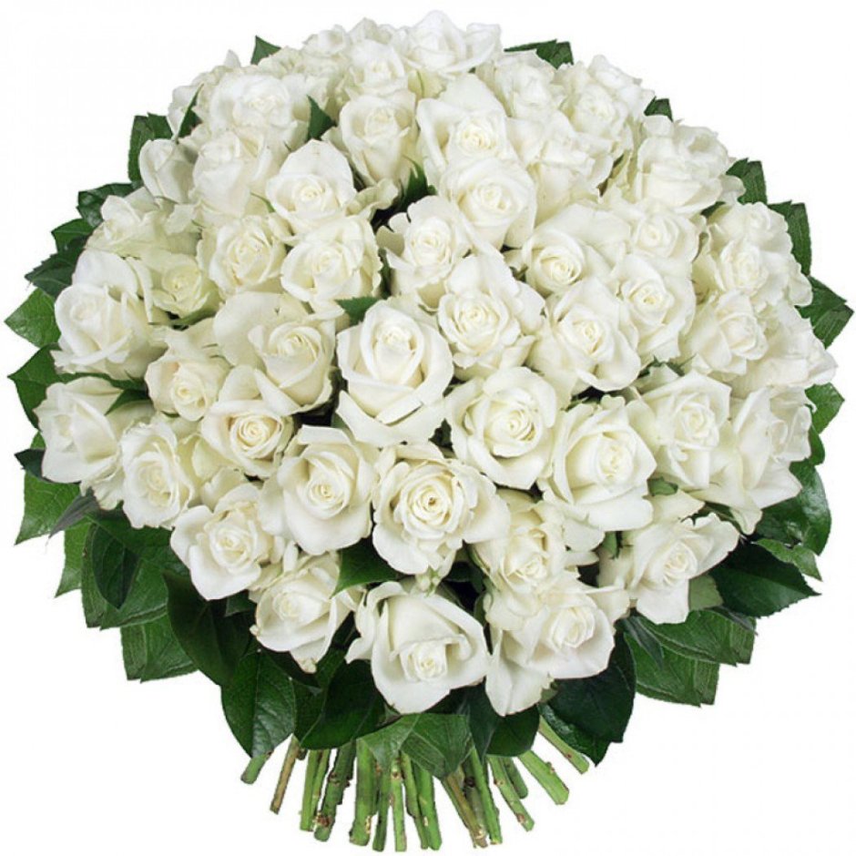 Букетище белых роз