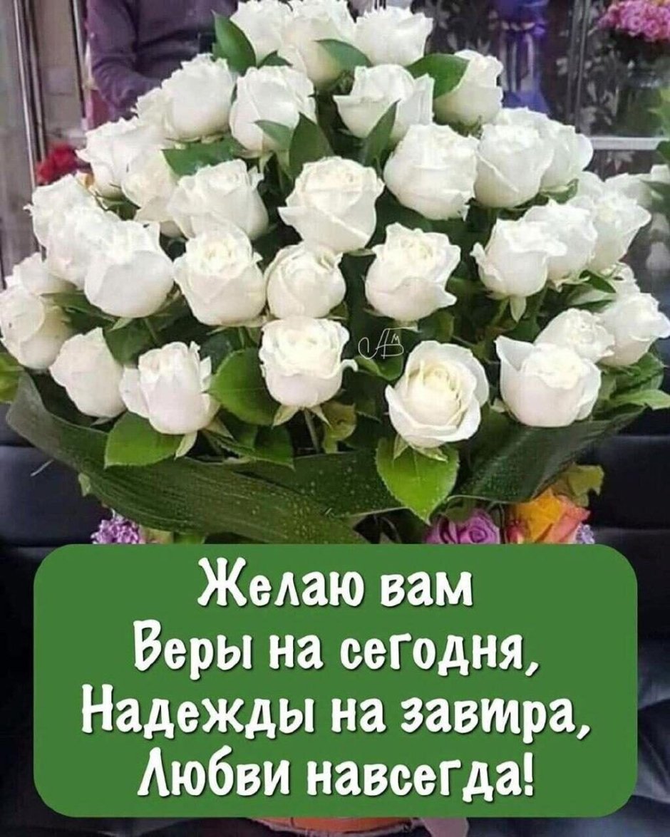 Белые розы поздравление
