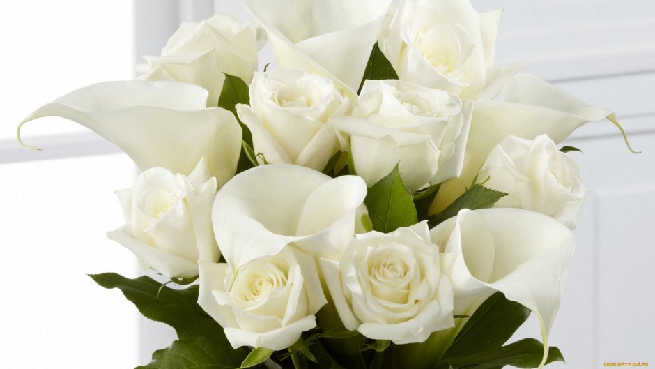 Белые розы с днём рождения красивые открытки