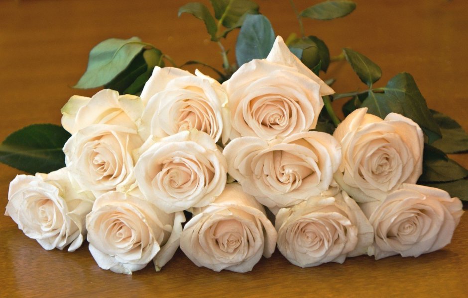 Красивый букет кремовых роз
