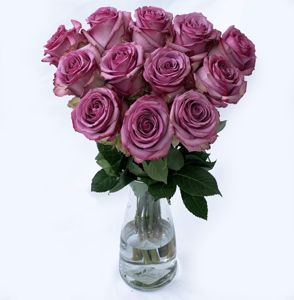 Фиолетовые розы в вазе на белом фоне