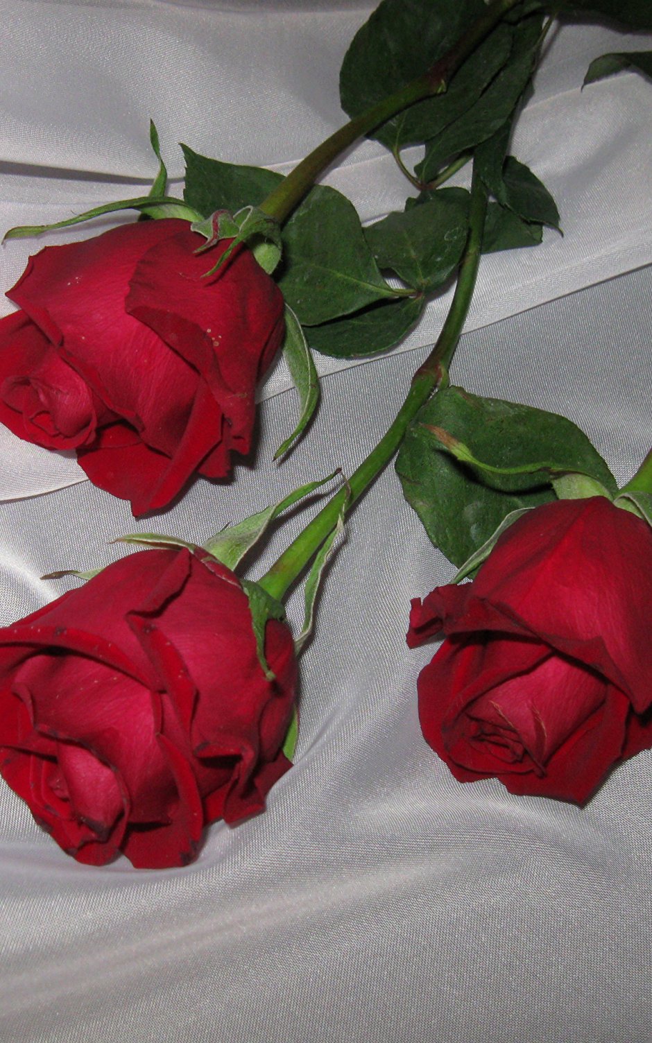 3 Розы