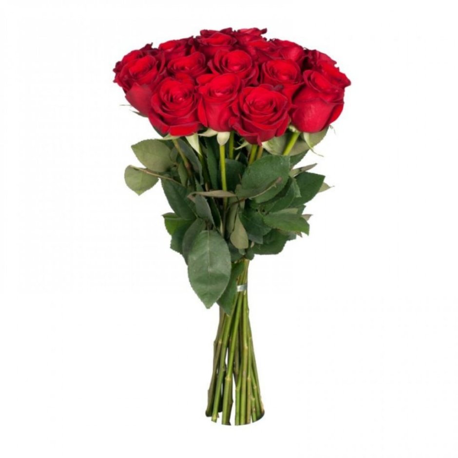 Букет из красных роз "Фридом" - 15 цветков