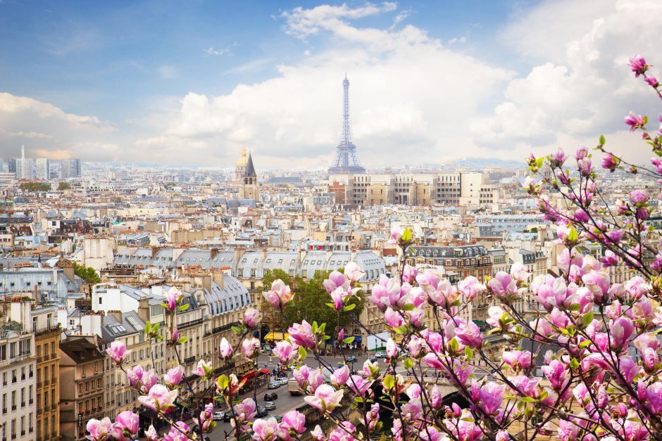 Франция Париж Эйфелева башня весной.