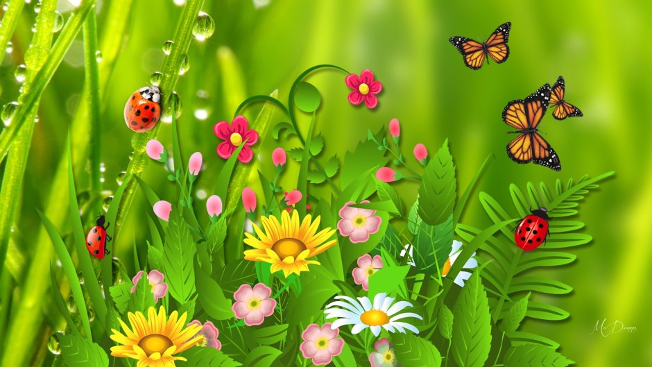 Полянка с цветами и бабочками