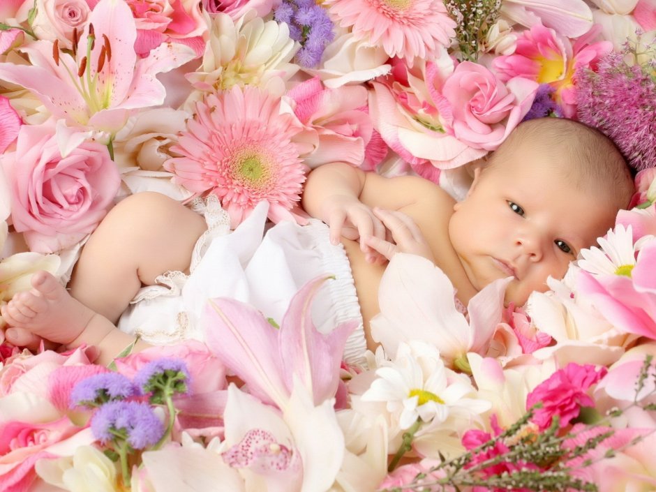 Новорожденный в цветке