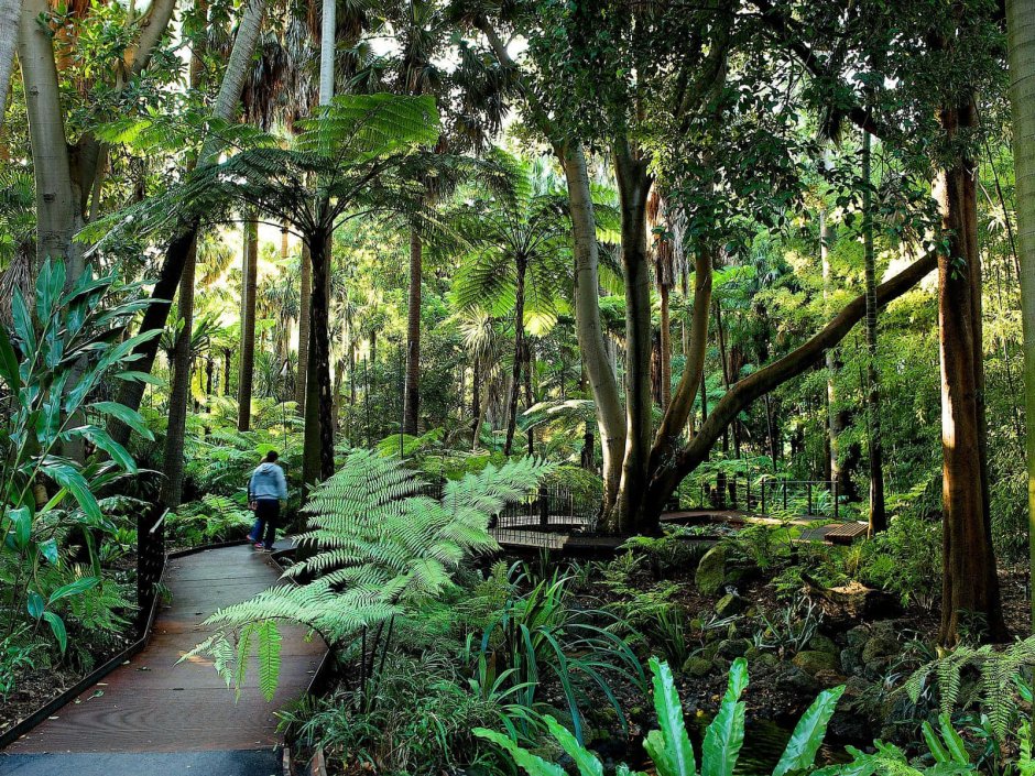 Австралийский Ботанический сад в Канберре