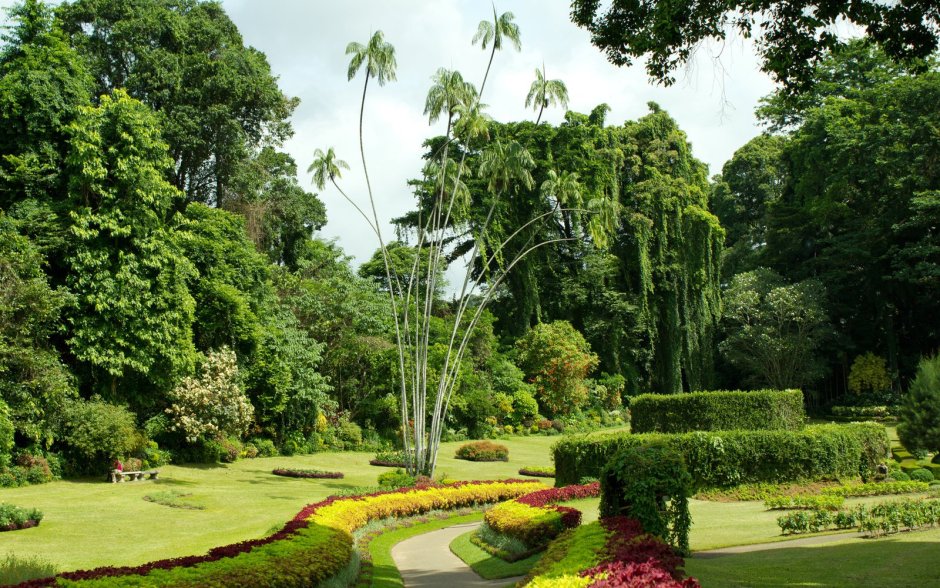 Канди - Королевский Ботанический сад Перадения