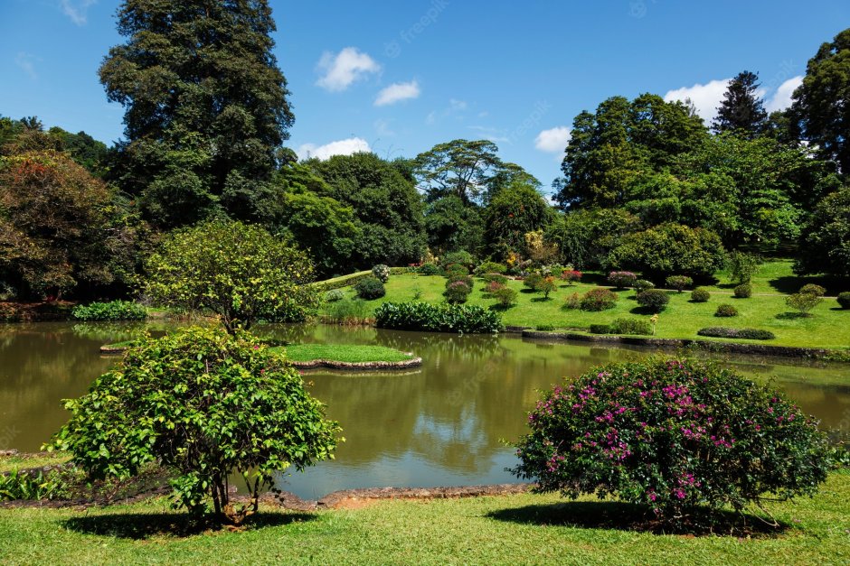 Королевский Ботанический сад в Перадении Шри-Ланка
