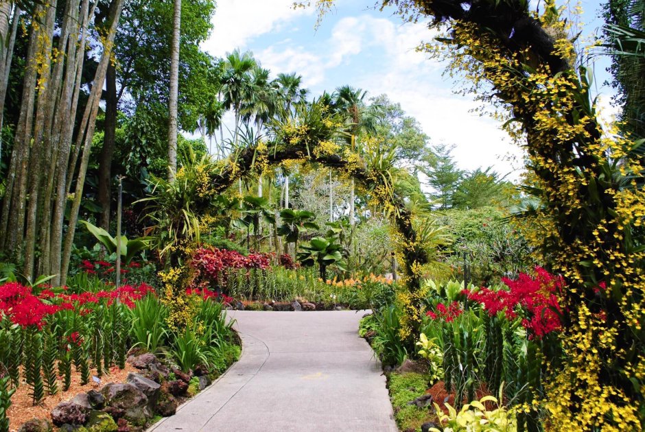 Ботанический сад Чагуаль Чили