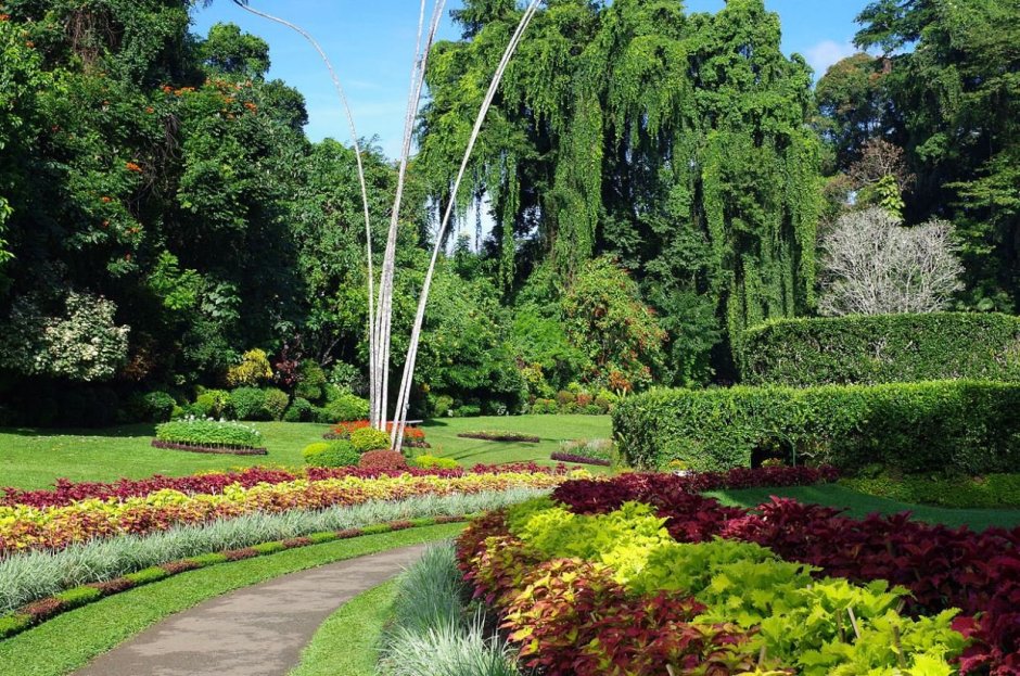 Канди - Королевский Ботанический сад Перадения