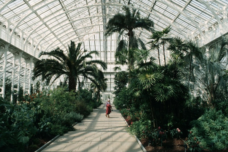 Королевские Ботанические сады Кью Лондон пальмовый дом