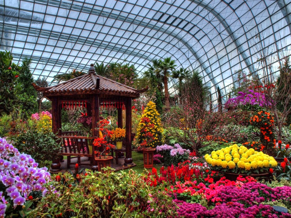 Сингапур, оранжерея 'Flower Dome'.