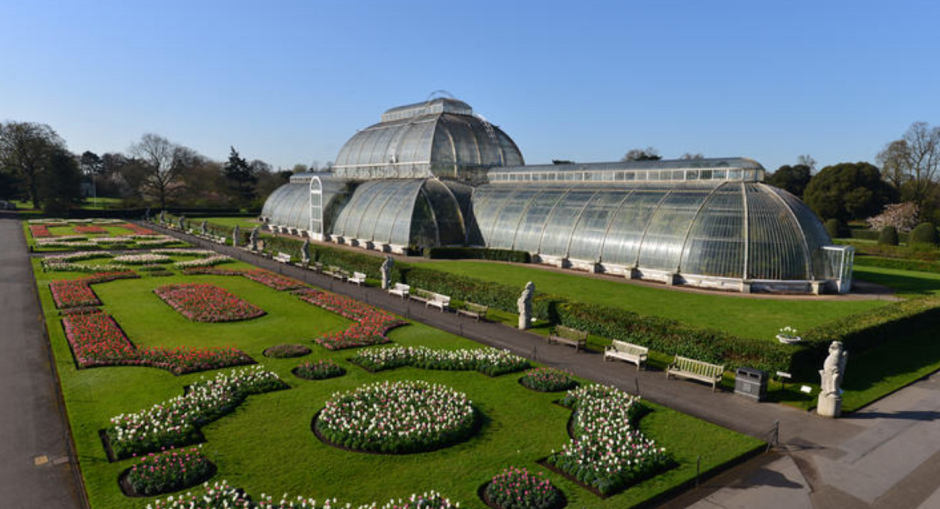 Королевский Ботанический сад Эдинбурга