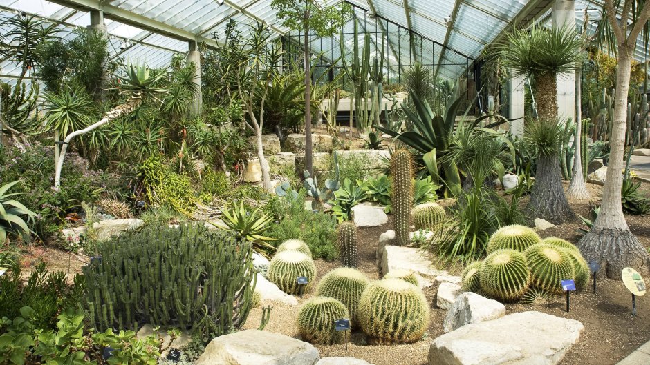 Короле́вские Ботани́ческие сады́ Кью