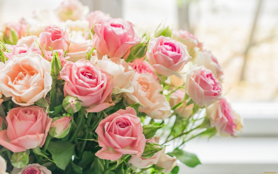 Роза кустовая пионовидная нежно розовая