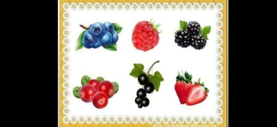 Карточки ягоды для детей
