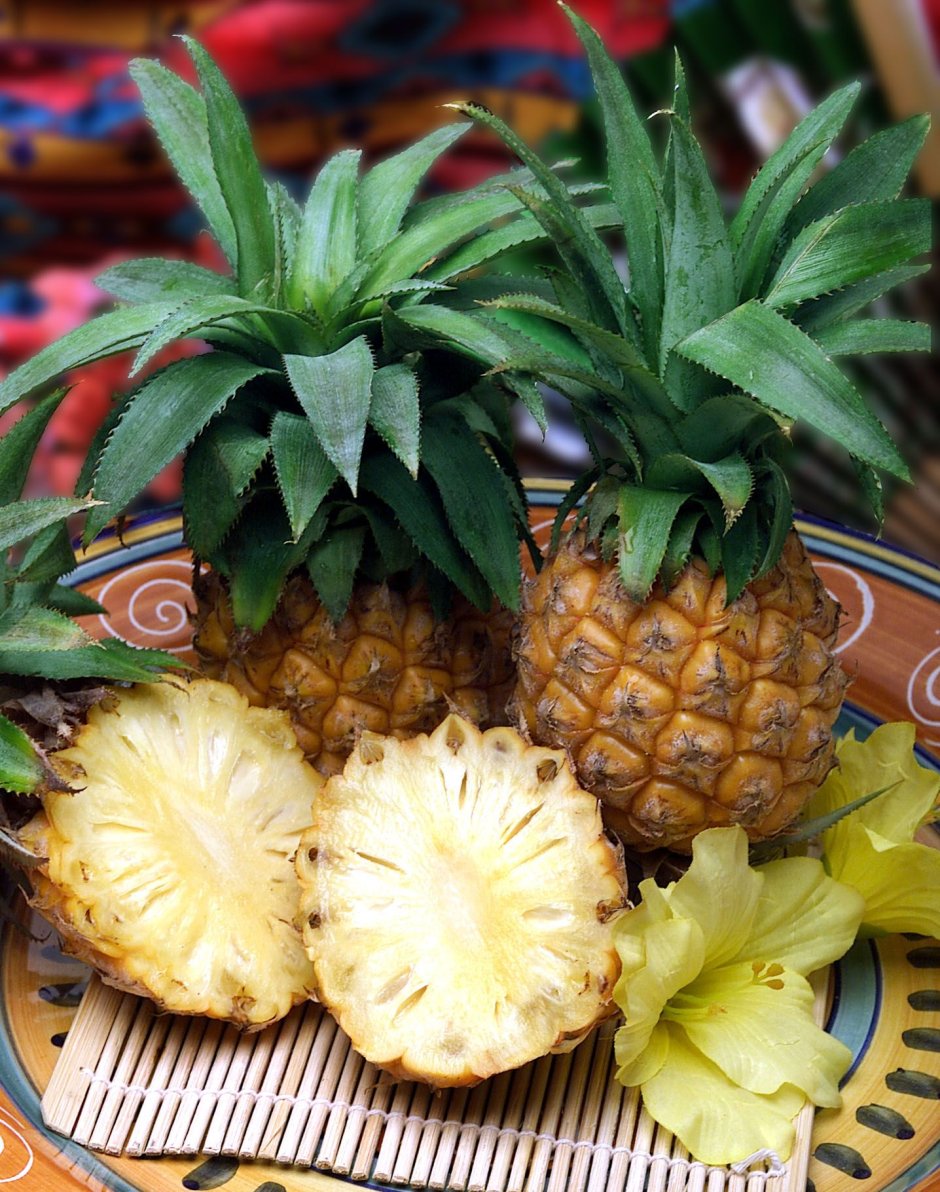 Соцветие ананаса