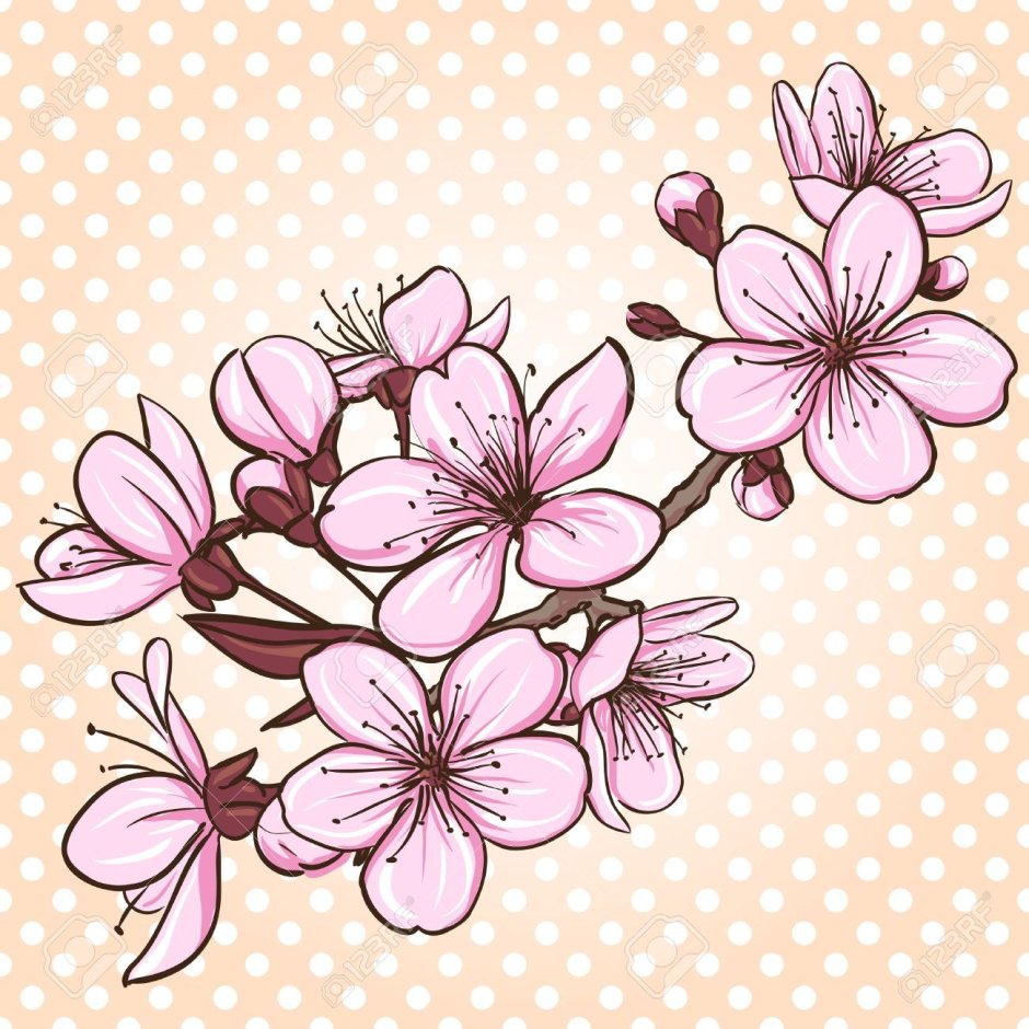 Цветок Сакуры вектор