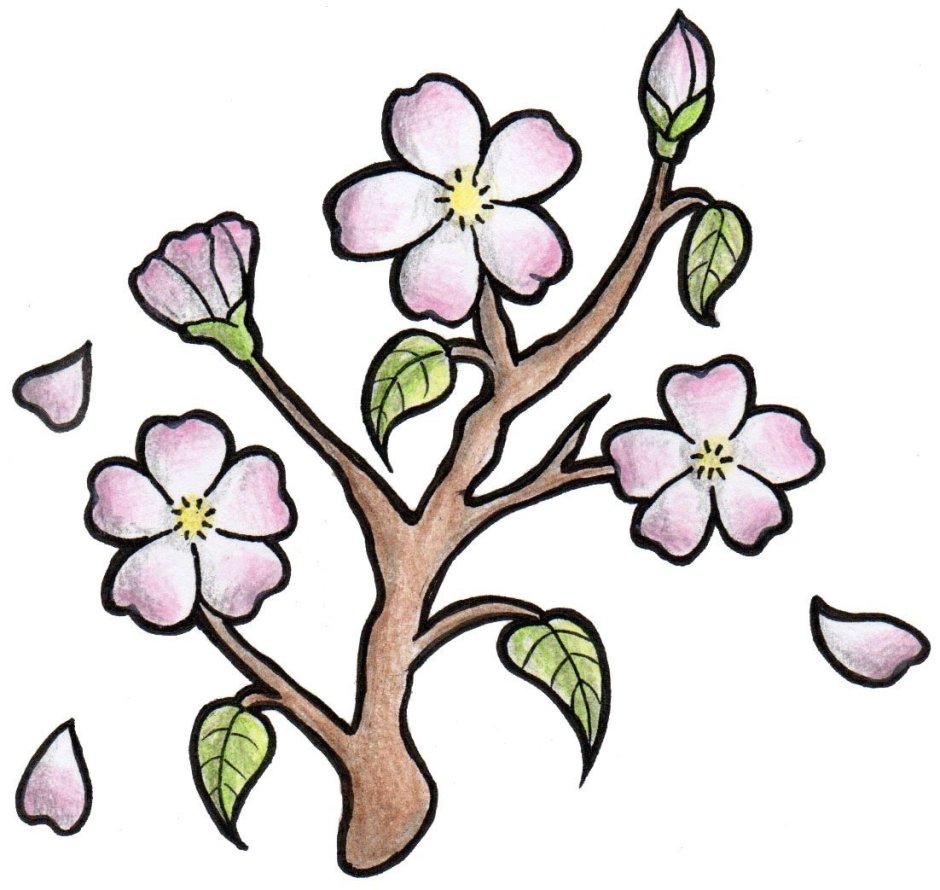 Ветка цветущего дерева для детей
