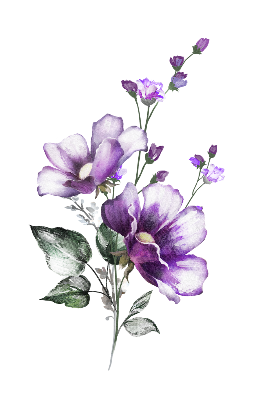 Фиолетовые цветы акварель