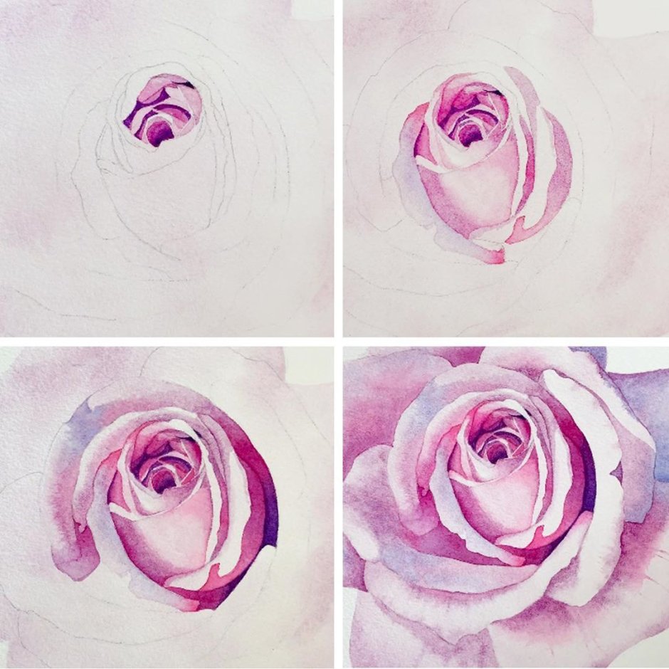 Розы рисунок акварелью