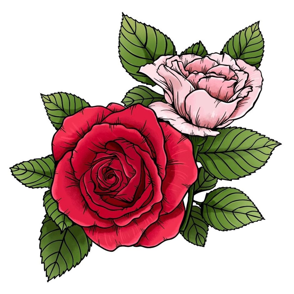 Обои с рисунком розы