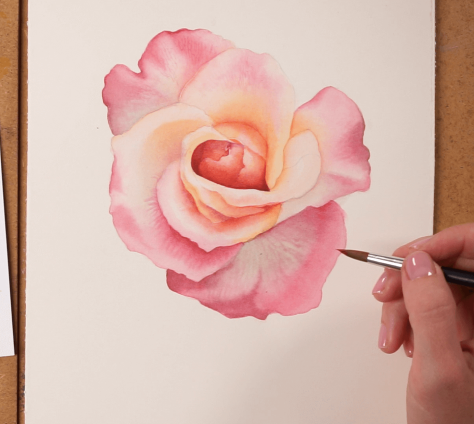 Акварель нежно розовая роза