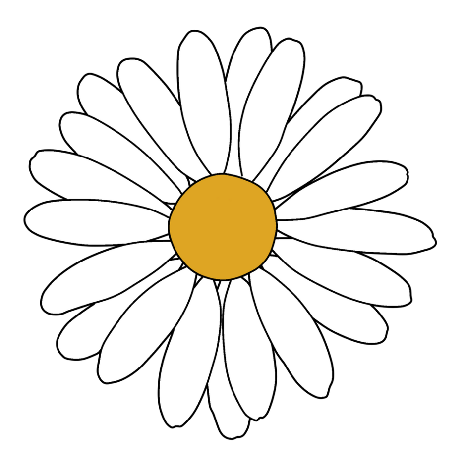 Цветок Ромашка для детей