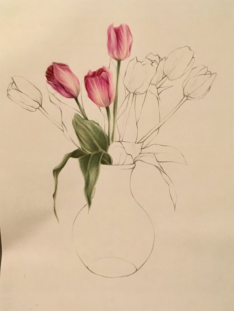 Цветы рисунок карандашом в вазе тюльпаны