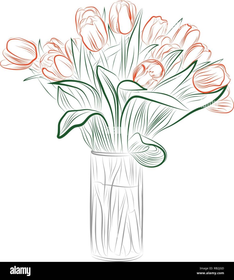 Букет тюльпанов карандашом