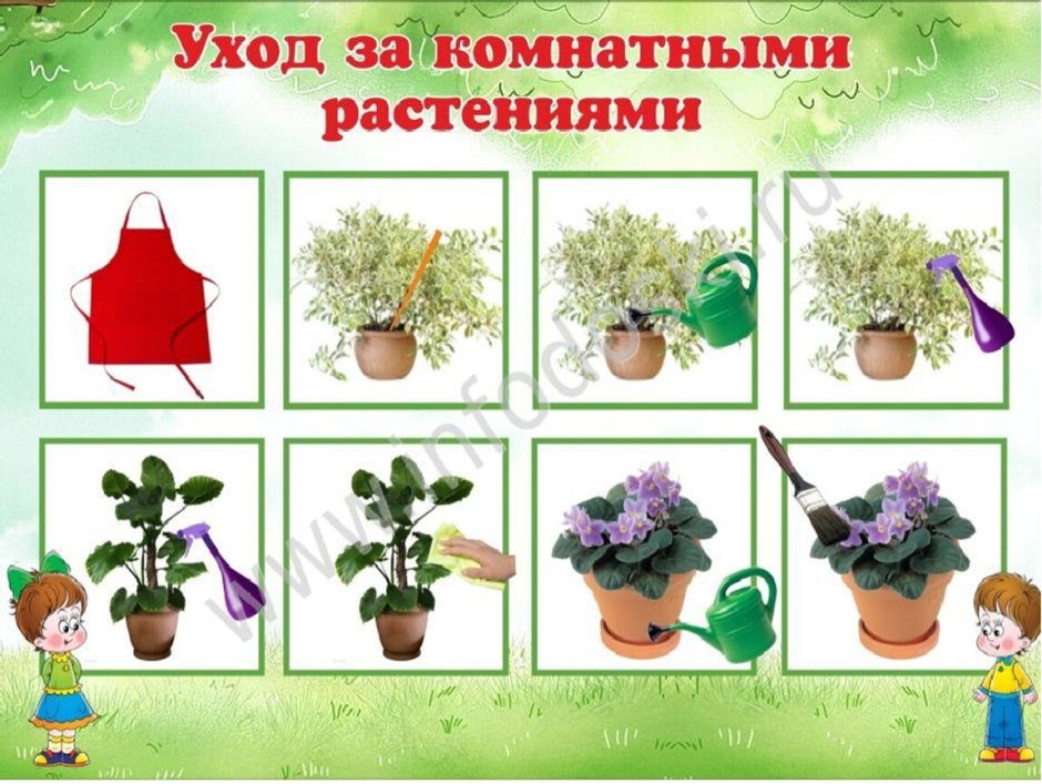Ухаживание за растениями в детском саду