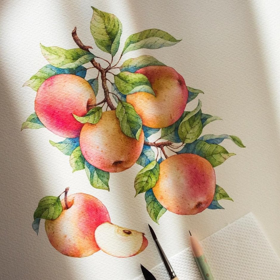 Яблоко рисунок акварелью