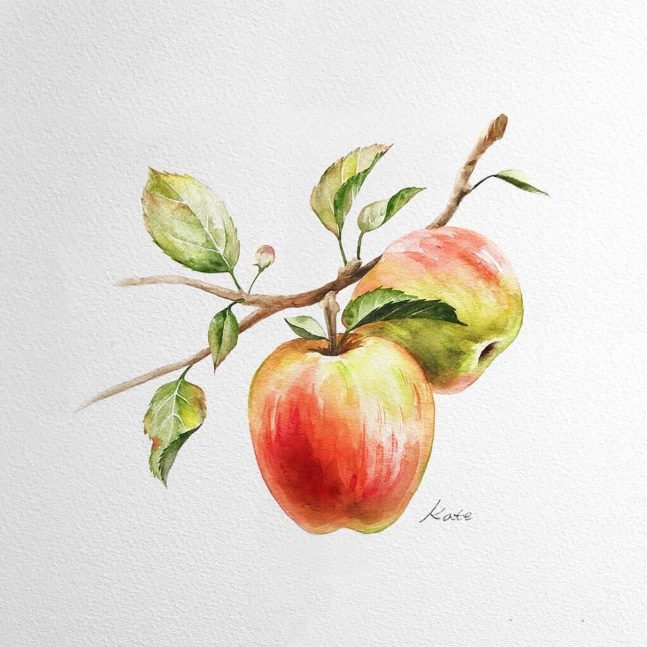 Apple Watercolor