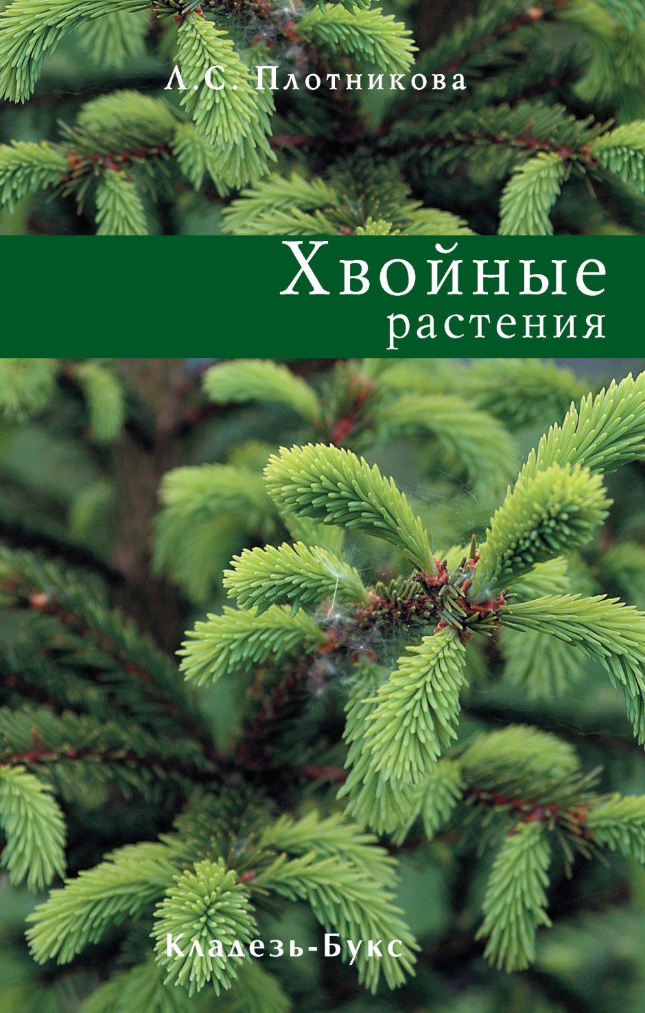 Хвойные растения книга, л. с. Плотникова