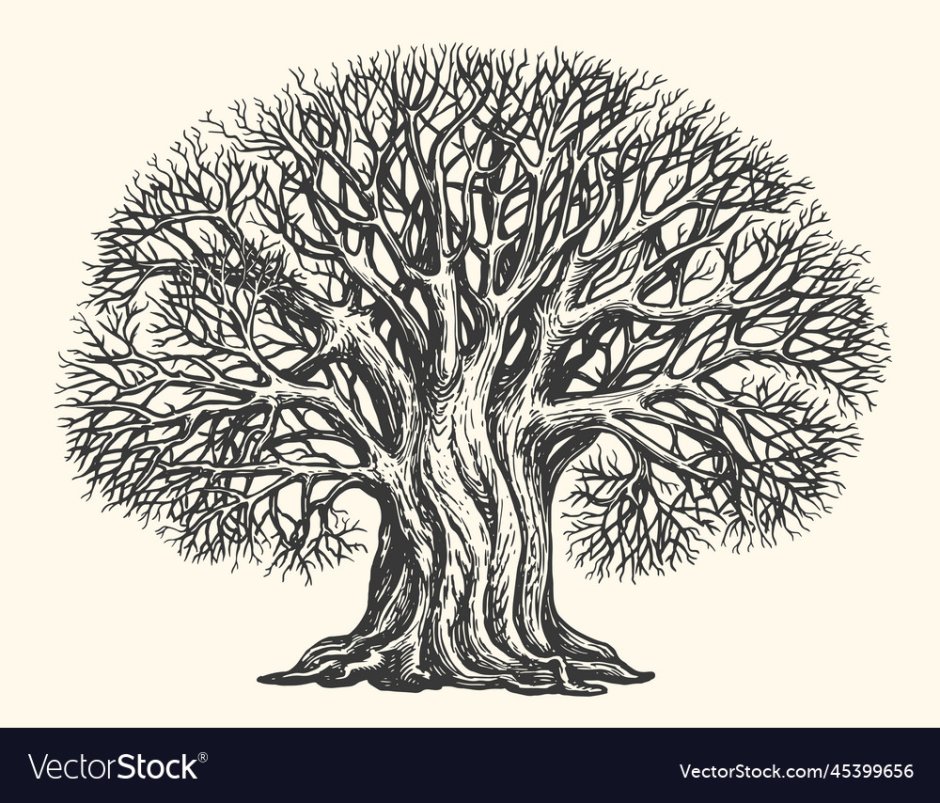 Дерево дуб стилизация